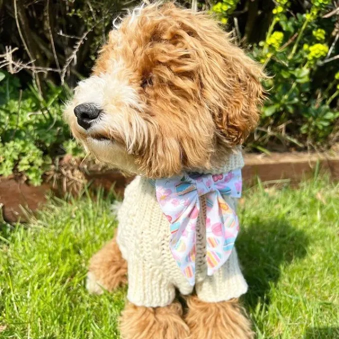 Dog influencer wearing easter bandana